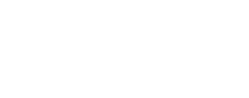 Steitz Immobilien